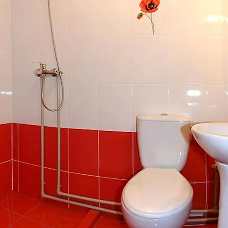 Casa de hóspedes там де гори Krivorovnya
