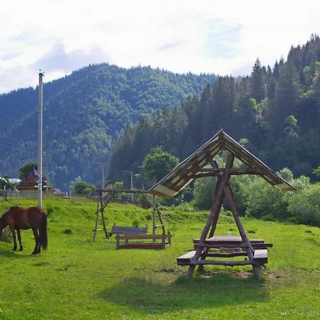 там де гори Casa de hóspedes Krivorovnya