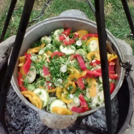 Guest house там де гори Krivorovnya