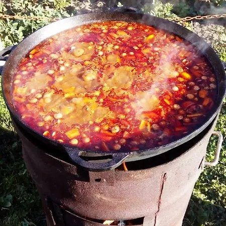 Casa de hóspedes там де гори *